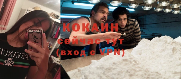 ПСИЛОЦИБИНОВЫЕ ГРИБЫ Майский