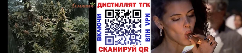 ТГК концентрат  Новоаннинский 