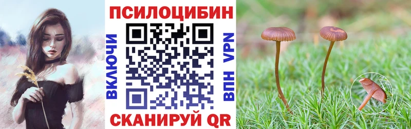 Галлюциногенные грибы Magic Shrooms  Новоаннинский 